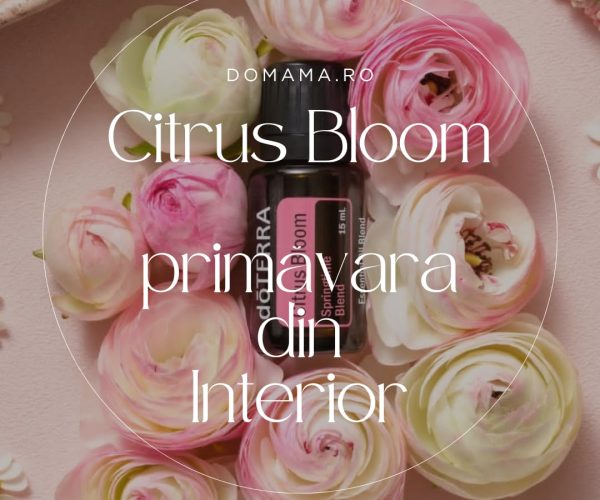 citrus bloom