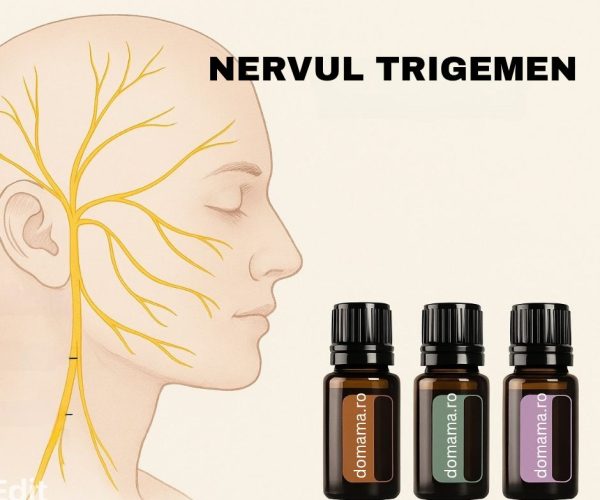 Nervul Trigemen
